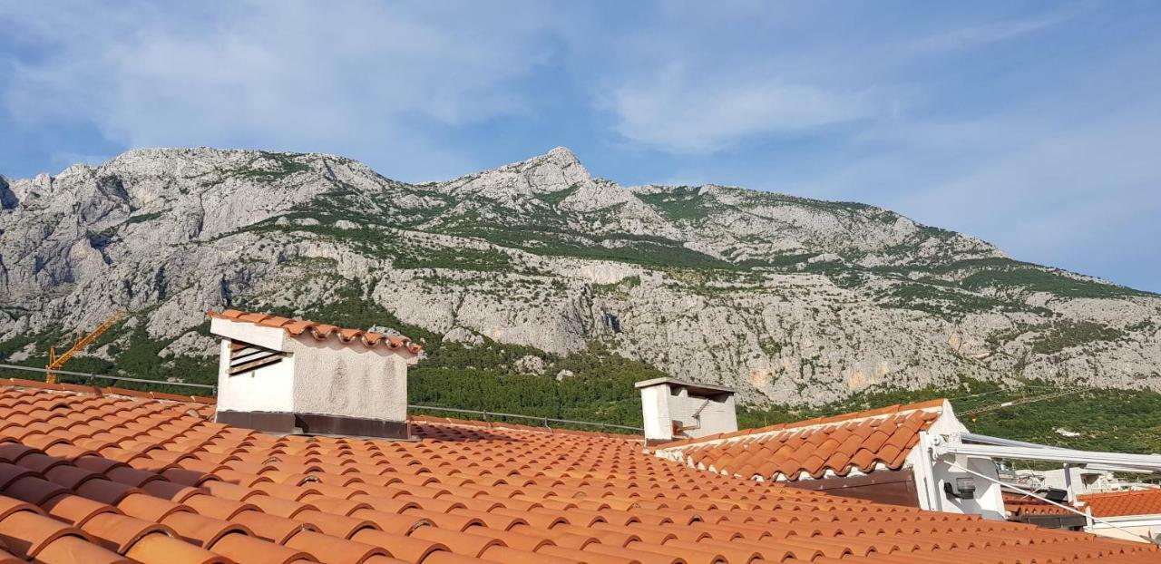 Sea View Elena Makarska
